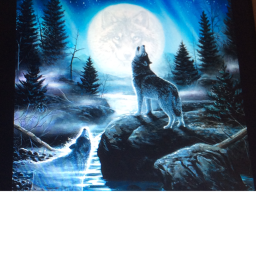 Wolf hangout