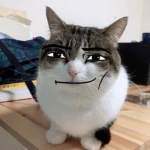 CatBar Group Thumbnail