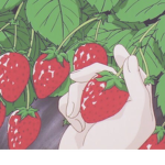 strawberry mouse squad
