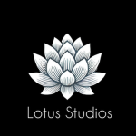 VinStudios