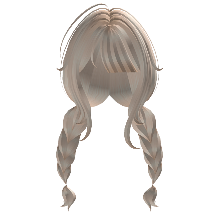Cute Blonde Braids