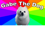 #the doge fan club