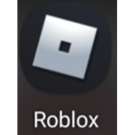 Robloxian Worldwide Gamers Group