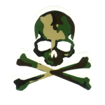 Camo Entertainment