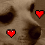 Dogs only and humans is epic