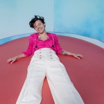 Harry styles slaytatstic fan group
