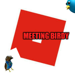Birdy Meeting Area