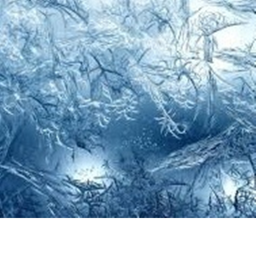 Running Frost