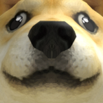 Doge Items