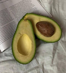 Avacadoxc
