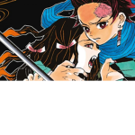 .•.Demon Slayer RP.•.