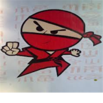 The Red Ninja's