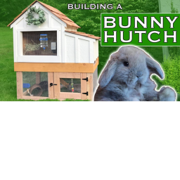 Bunny Family House