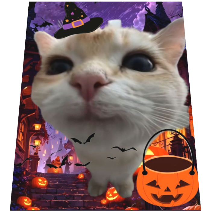 Halloween Cat Meme Cape