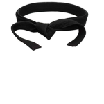 Black Belt Ninja Games