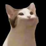 pop cat gain