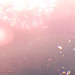 *ੈ✩‧