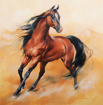 Maple Ridge Riding Academy