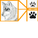 cat wolfs