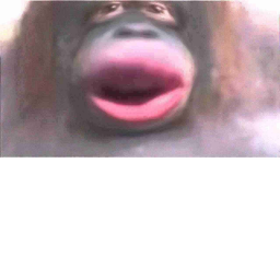monke in jungle