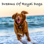 Dreams Of Royal Dogs