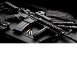 The_Firearms
