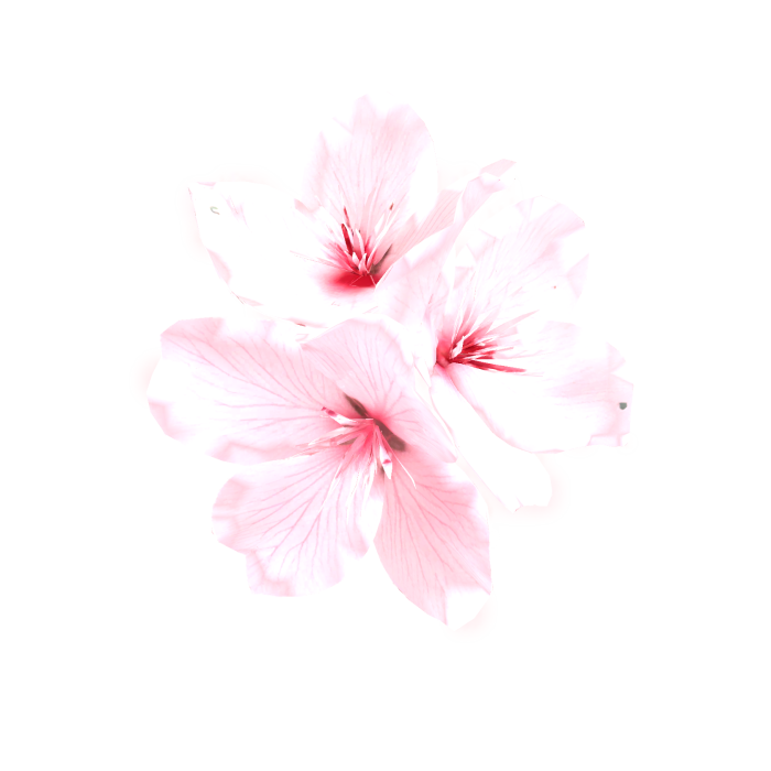 Neon Sakura Flowers Hairpin (Glowing Emissive)