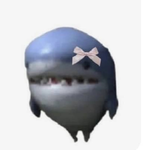 Les Requins Coquet