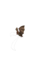#7otw