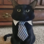 Eframac's Clothes