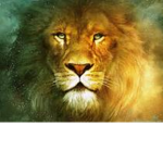 The Lion Crew