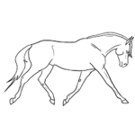 Equestrian center
