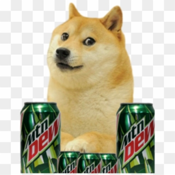 Doge Obby