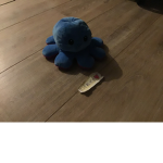 Squid VIP team