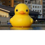 The Epic Duck Squad! A_VeryNormalGuest
