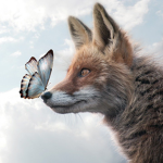 FOX019391