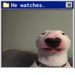 Definitely NOT a $CAM