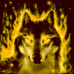 The Flaming Gold Wolves