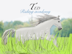 TED Riding Academy - TRA