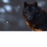 TheDarkWolfClub