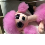 Beanie boos!!
