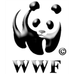 Save The Giant Pandas