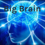 THE BIG BIG BRAIN GROUP!