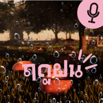 rainy season !