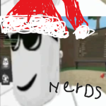 nerds corp