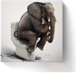 Elephants are the best!!