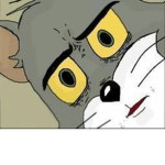 Le chat