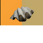 The Clam Kingdom