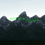 Content_Deleted_34769220