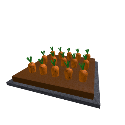 Farm